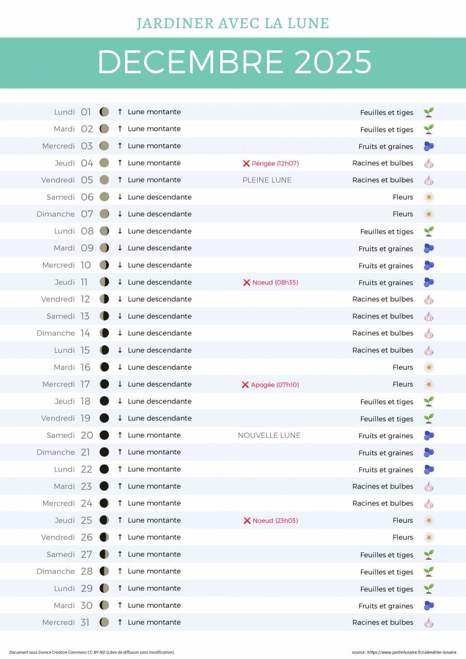 Calendrier lunaire de décembre 2025