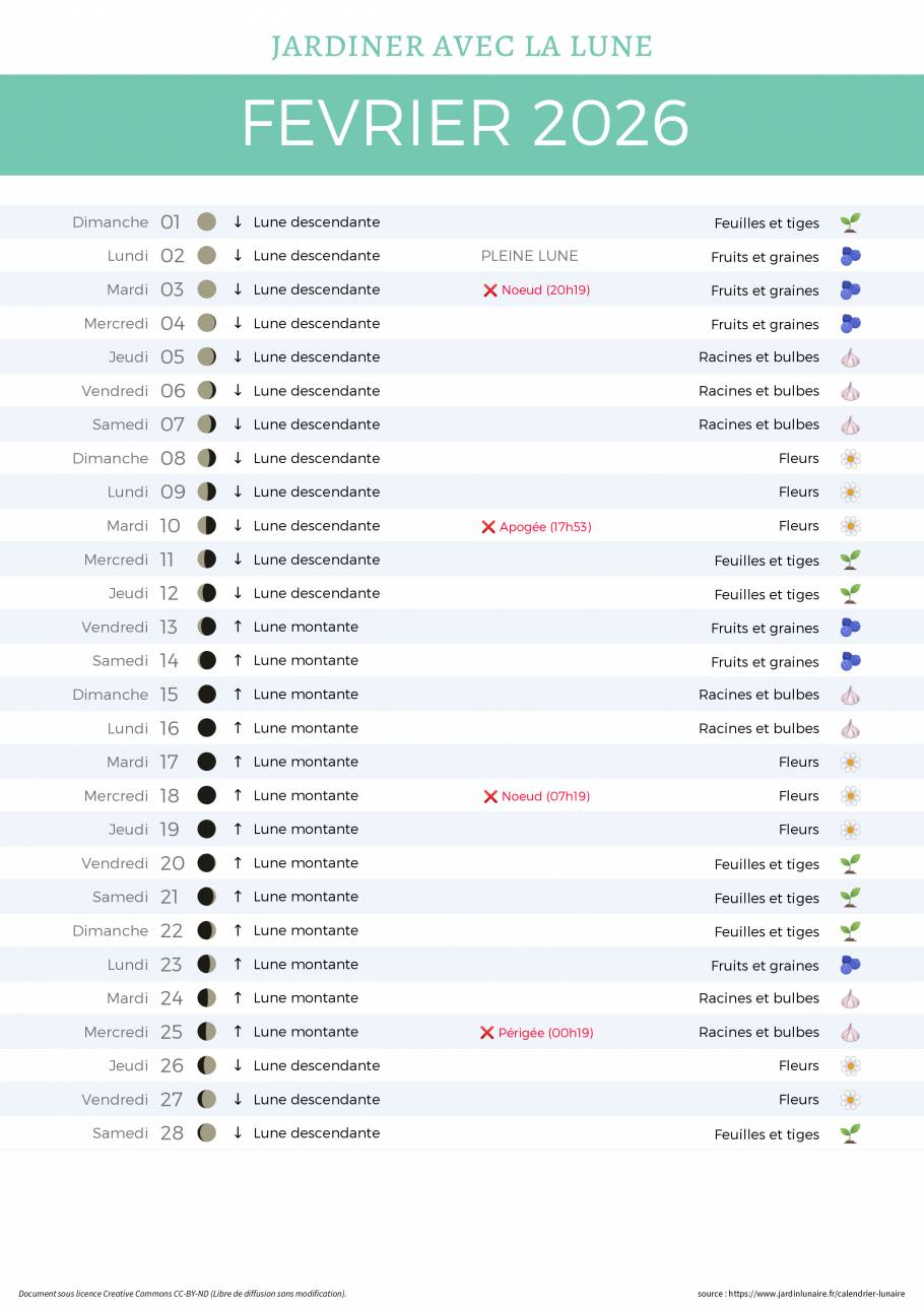 Calendrier lunaire de février 2026