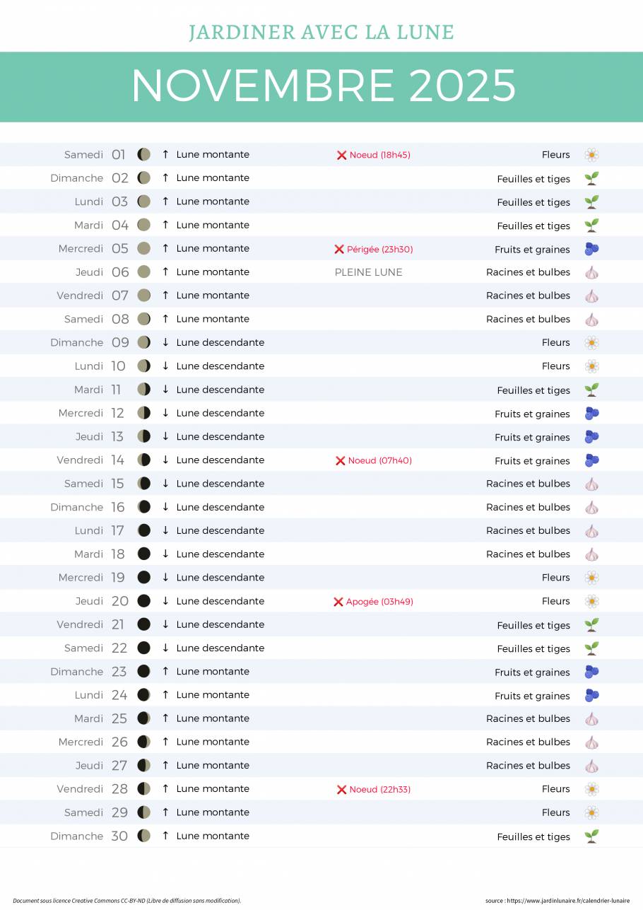 Calendrier lunaire de novembre 2025